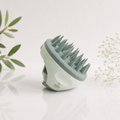 Brosse capillaire