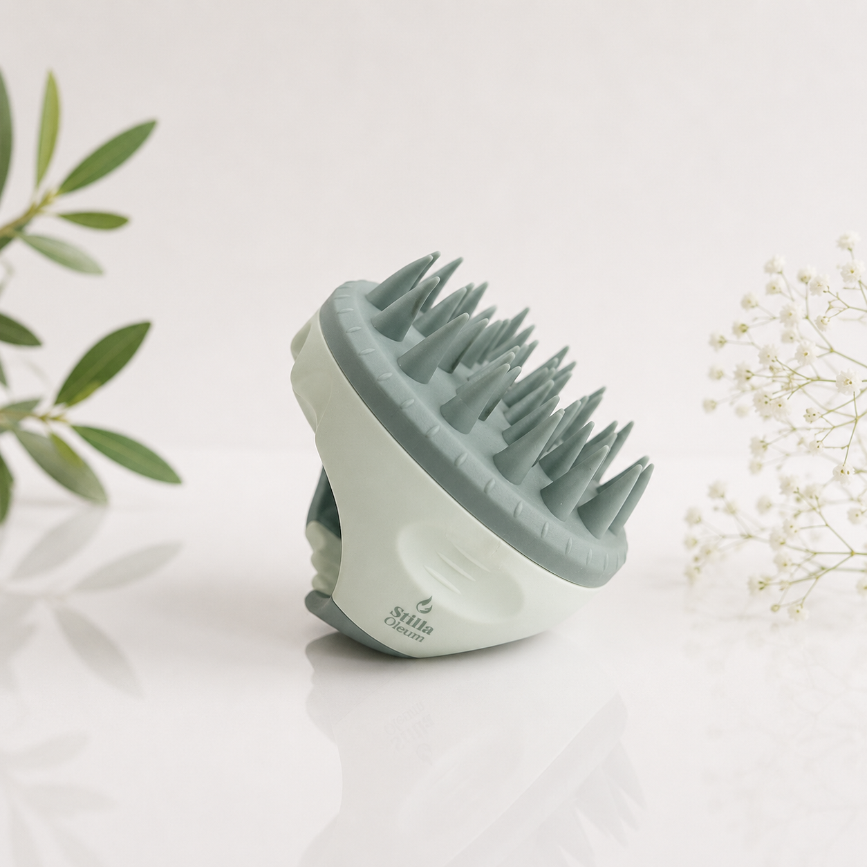 Brosse capillaire