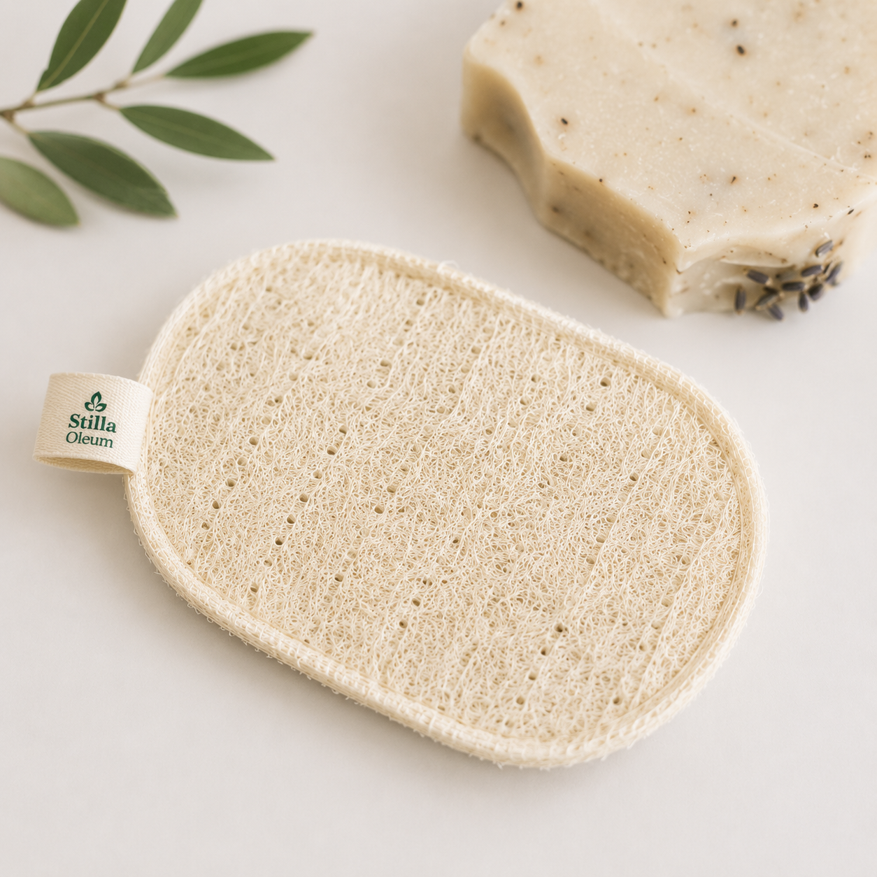 Luffa porte savon