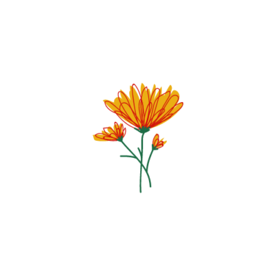 calendula